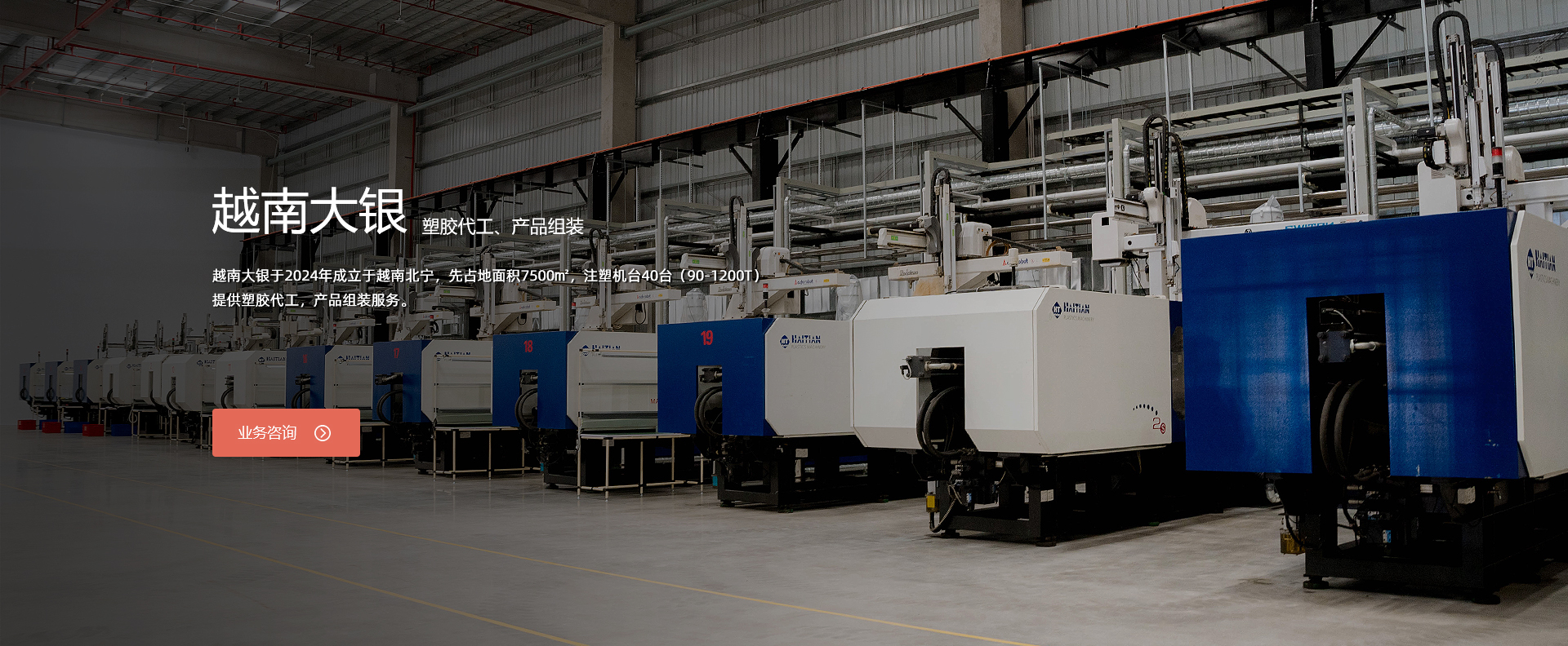 越南大银：塑胶代工、产品组装